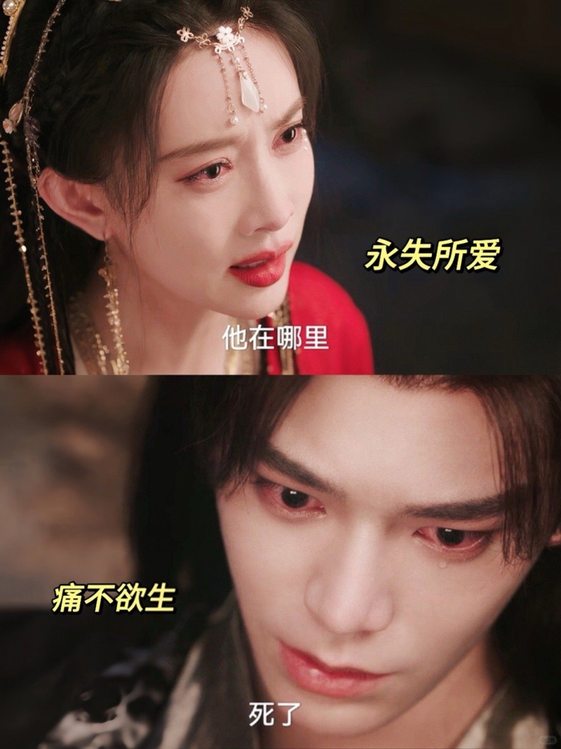 丁禹兮